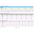 RS Taichi GP-Max R103 Racing Suit (NXL103)