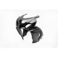 CARBONIN CARBON FIBER RACE BODYWORK FOR SUZUKI GSX-R1000 (2009-16)