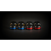 AEM FACTORY - 'DRILL' DUAL COLOR BAR ENDS UNIVERSAL