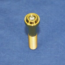 Proti M10 Universal Bolt M10L50-OTB01