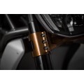 AEM Factory - Billet Triple Clamp kit for the Ducati XDiavel with Riser and Handlebar Clamp AEM Factory - Billet Triple Clamp kit for the Ducati XDiavel with Riser and Handlebar Clamp