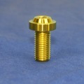 Proti M10 Universal Bolt M10L20-OT04 Proti M10 Universal Bolt M10L20-OT04