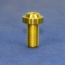 Proti M10 Universal Bolt M10L20-OT04