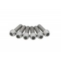 CNC Racing Dry Clutch Stainless Steel Clutch Retainer Screw Set CNC Racing Dry Clutch Stainless Steel Clutch Retainer Screw Set
