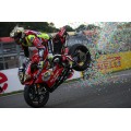 Termignoni High Mount Dual Muffler 2-1-2 'FORCE' Full Exhaust for DUCATI 1199 / 1299 PANIGALE