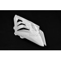 CARBONIN AVIO FIBER RACE BODYWORK FOR BMW S1000RR (2010-2014) CARBONIN AVIO FIBER RACE BODYWORK FOR BMW S1000RR (2010-2014)