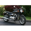 Cox Racing Radiator Guard for the Triumph Bonneville T120 Cox Racing Radiator Guard for the Triumph Bonneville T120