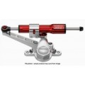 Bitubo SSW Steering Damper for the BMW R nineT (2014+)