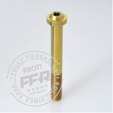 Proti M10 Universal Bolt M10L80-OT01