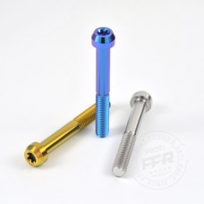 Proti M8 Universal Bolt M8L65-OT01
