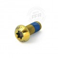 Proti Front Disc R/L Bolt Kit for the Ducati Diavel Cromo (2012) Proti Front Disc R/L Bolt Kit for the Ducati Diavel Cromo (2012)