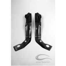 CARBONIN CARBON FIBER FRAME PROTECTORS FOR BMW S1000RR (2010-11)