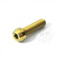 Proti Front Axle Clamp R/L Bolt Kit for the KTM 990 Adventure R USA (2010-2012) Proti Front Axle Clamp R/L Bolt Kit for the KTM 990 Adventure R USA (2010-2012)