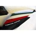 CARBONVANI - DUCATI 1199 PANIGALE TRICOLORE CARBON FIBER FULL FAIRING-ROAD VERSION CARBONVANI - DUCATI 1199 PANIGALE TRICOLORE CARBON FIBER FULL FAIRING-ROAD VERSION