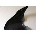 CARBONVANI - DUCATI MONSTER 821 / 1200 CARBON FIBER PILLION SEAT COVER CARBONVANI - DUCATI MONSTER 821 / 1200 CARBON FIBER PILLION SEAT COVER