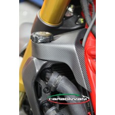 CARBONVANI - DUCATI MONSTER 1200R CARBON FIBER WATER COOLER CAP PROTECTION