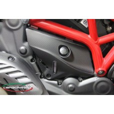 CARBONVANI - DUCATI MONSTER 821 / 1200 CARBON FIBER COOLANT TANK COVER
