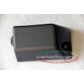 CARBONVANI - DUCATI MONSTER 821 / 1200 CARBON FIBER FUSE COVER CARBONVANI - DUCATI MONSTER 821 / 1200 CARBON FIBER FUSE COVER