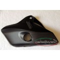 CARBONVANI - DUCATI MONSTER 821 / 1200 CARBON FIBER COOLANT TANK COVER CARBONVANI - DUCATI MONSTER 821 / 1200 CARBON FIBER COOLANT TANK COVER