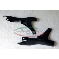 CARBONVANI - DUCATI MONSTER 821 / 1200 CARBON FIBER FRAME KIT (2 PIECES)