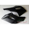 CARBONVANI - DUCATI MULTISTRADA 1200 CARBON FIBER RH/LH ENGINE GUARDS CARBONVANI - DUCATI MULTISTRADA 1200 CARBON FIBER RH/LH ENGINE GUARDS