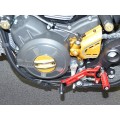 DBK Special Parts (Ducabike) Shift Lever for the Ducati Scrambler 800 / 1100 & Monster 797 DBK Special Parts (Ducabike) Shift Lever for the Ducati Scrambler 800 / 1100 & Monster 797