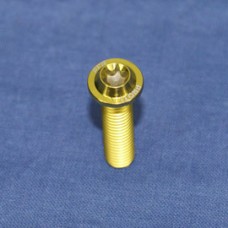 Proti M6 Universal Bolt M6L25-OTB04