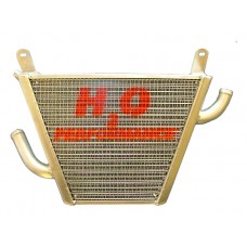 Galletto Radiatori (H2O Performance) Additional Radiator kit For Honda Hornet