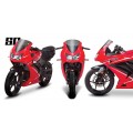 Zero Gravity Racing Windshields for the Kawasaki Ninja 250R (2008-2011) Zero Gravity Racing Windshields for the Kawasaki Ninja 250R (2008-2011)