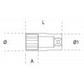 Beta Tools Model 900 L12mm-Hexagon Hand Sockets Long Series Beta Tools Model 900 L12mm-Hexagon Hand Sockets Long Series