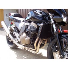 R&G Racing Radiator Sliders for Kawasaki Z750 '04-'06