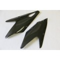 CARBONVANI - MV AGUSTA BRUTALE CARBON FIBER LH & RH FRAME INSERTS (2006-09) CARBONVANI - MV AGUSTA BRUTALE CARBON FIBER LH & RH FRAME INSERTS (2006-09)