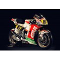 Rizoma Proguard Racing Lever Guard System - LP040BM