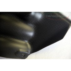 CARBONVANI - MV AGUSTA F3 CARBON FIBER EXHAUST COLLECTOR GUARD