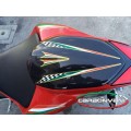 CARBONVANI - MV AGUSTA F4 CARBON FIBER TWIN SEAT TAIL MV CORSE (2010+) CARBONVANI - MV AGUSTA F4 CARBON FIBER TWIN SEAT TAIL MV CORSE (2010+)
