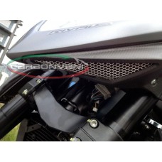 CARBONVANI - MV AGUSTA RIVALE CARBON FIBER LOWER LAMP MASK
