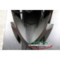 CARBONVANI - MV AGUSTA RIVALE CARBON FIBER COMPLETE FRONT FENDER