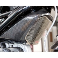 Motocorse Titanium Oil Cooler Protector for Ducati Monster 1100/796/696