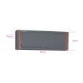 Beta Tools Model C55 Pm-Suspended Cabinet Beta Tools Model C55 Pm-Suspended Cabinet