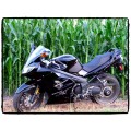 TechSpec Tank Grip Pads for the Triumph Sprint (05-12) TechSpec Tank Grip Pads for the Triumph Sprint (05-12)