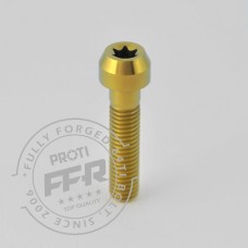 Proti Bracket Silencer Bolt Kit for the Ducati Monster 1200 (2015)