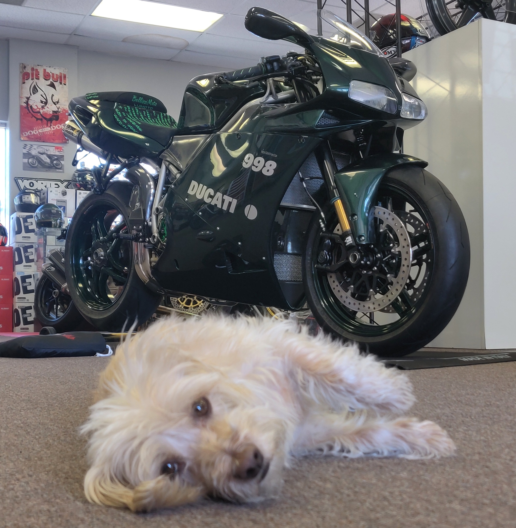 Ducati 916 matrix deals