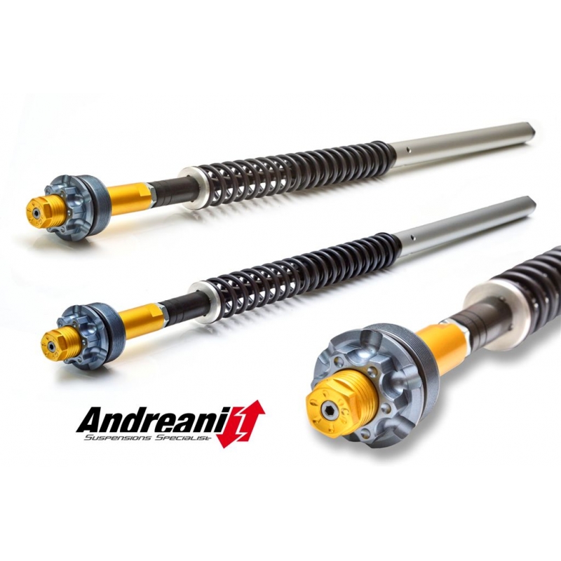 Ducabike Andreani 20mm Fork Cartridge Kit for Ducati Monster 821 with