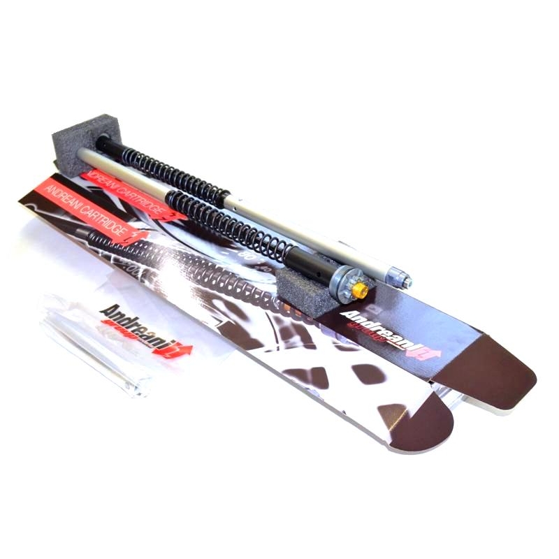 Ducabike Andreani 20mm Fork Cartridge Kit for Ducati Monster 821 with