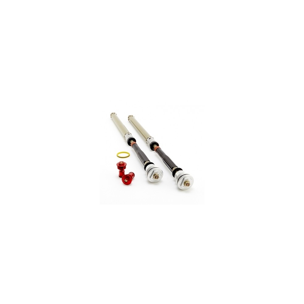 K-Tech 125-000-150-025 Suspension 25 RDS Fork Cartridges K-Tech 125-000-150-025 Suspension 25 RDS Fork Cartridges
