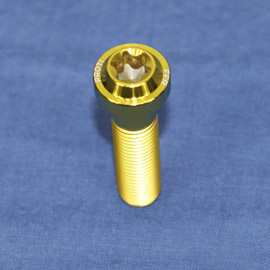 Proti M10 Universal Bolt M10L40-OTB03 Proti M10 Universal Bolt M10L40-OTB03