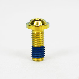 10x Ducati 1199S Panigale S Titanium Front Disc Rotor Bolts With Threadlock 10x Ducati 1199S Panigale S Titanium Front Disc Rotor Bolts With Threadlock