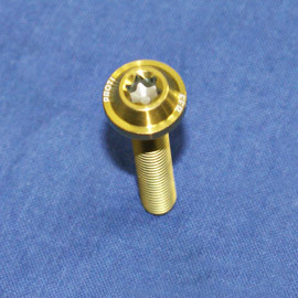 Proti Engine Housing Cover Left Bolt Kit for the BMW S1000XR (2015-2016) Proti Engine Housing Cover Left Bolt Kit for the BMW S1000XR (2015-2016)