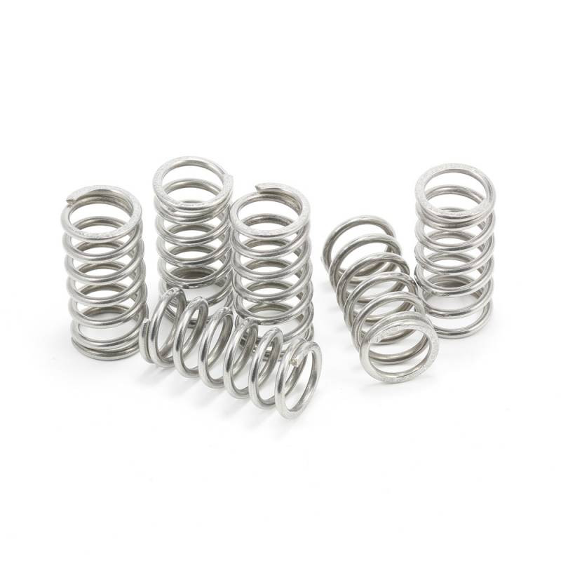 EVR Dry Clutch Stainless Steel Spring Set EVR Dry Clutch Stainless Steel Spring Set