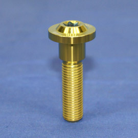 Proti M10 Universal Bolt M10L42-OTB01 Proti M10 Universal Bolt M10L42-OTB01